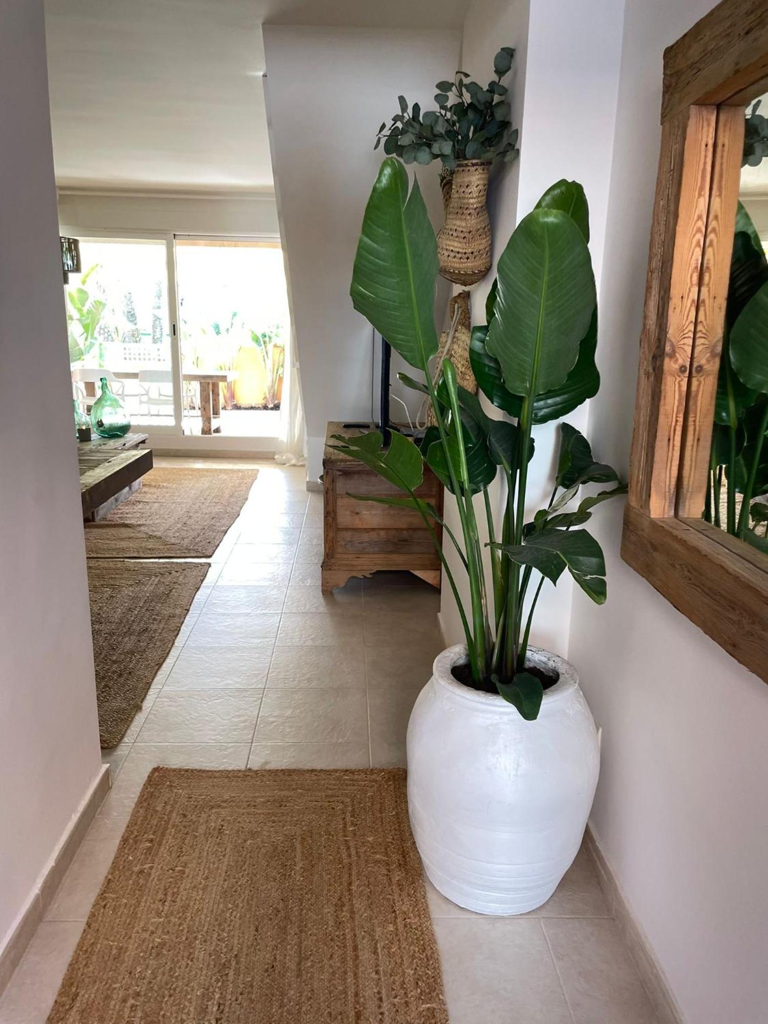 Jávea Alojamiento Arenal Park מראה חיצוני תמונה